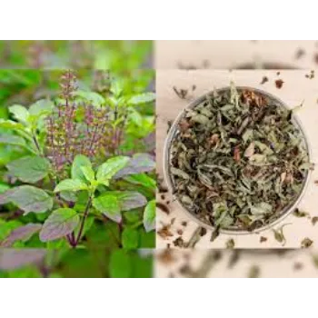 Natural Dried Tulsi Leaves